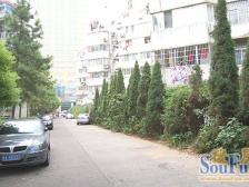 桃苑一区 南北通透,采光好 视野好,诚心出售