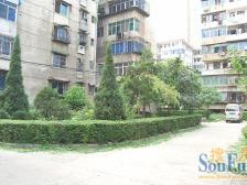 桃苑一区 南北通透,采光好 装修好,环镜优美 周边匹套完善,,出行方便