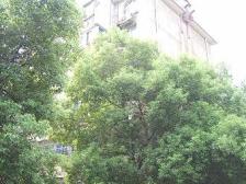 桃苑二区通透大二房,近地铁,生活配套齐全,停车方便