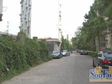 桃苑二区 南北通透,采光好 视野好,诚心出售