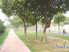 可以拎包即住,住于小区中间,位置不位置不临,环境安静,前后无