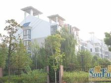 湖滨东路 南师付小步行500米 随时看房