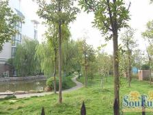 碧海云天 精装复试 诚心出售 近地铁