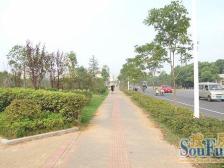 青山湖畔 精装复式 近学校 诚售