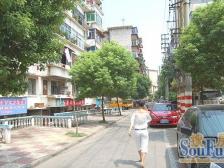 里洲小区 南北通透,采光好 装修好,环镜优美 视野好,诚心出售