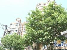 水印都市 南北通透,采光好 周边匹套完善,,出行方便