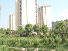 地铁三号旁边 品质楼盘 电梯房 南北通透 全天太阳