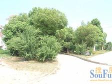 房屋户型端正,楼层好,采光充足 前后无遮挡。