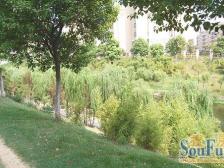 小区入住率高 近地铁 小区环境好,户型端正 贴近公园