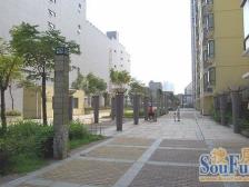 南北通透满五唯一精装修