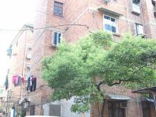 丁公路南柴宿舍 南北通透,采光好 近地铁 视野好,诚心出售