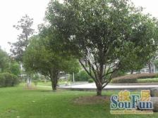 总高6楼的3楼,南北通透两房,采光无遮挡,现在空关,业主诚信