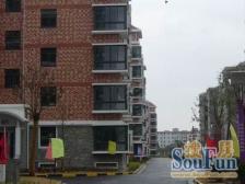 七号线地铁口品质小区+三开间朝南户型+带横院诚意卖