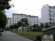 户型正气 位置好 采光好 诚意卖