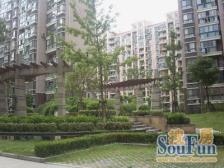 丰水宝邸(东苑) 1室1厅 南 北