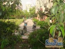 无抵押 通风好 现场实勘,新上房源