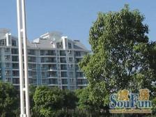 华亭新家百合苑 3室2厅 南 北