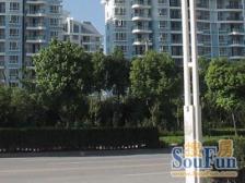 华亭新家百合苑 2室2厅 南