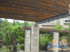 华亭新家银杏苑南北正两房不靠路出行方便