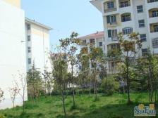 此房户型手续齐全,格局好,采光好,无遮挡,出行方便