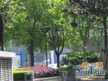 蔚蓝水岸名苑2室南朝向1300.00万元/套出售