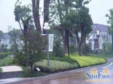 森林式别墅区 天然氧吧 容积0.18