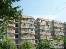 川沙·川北小区·2室·1厅