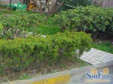 环境优美,小户型,业主急售,交通便利