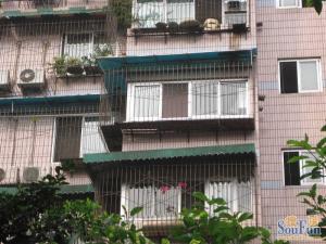 金泉街48号 3室1厅 东南