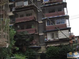 年丰巷53号3室2厅东南