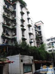 芳草东街54号3室2厅东西