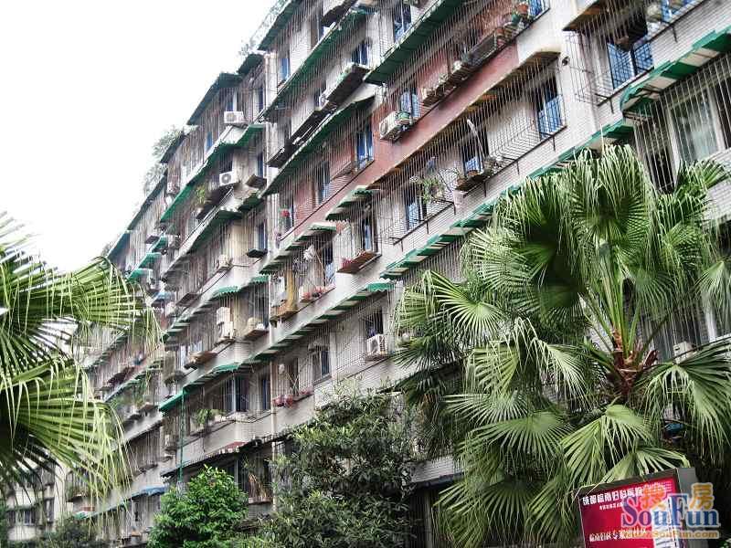 小区相关图