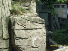 观音桥 平常人家三房