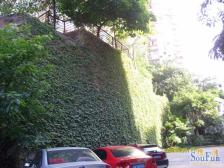 必卖!单价六千多买观音桥精装三室