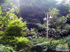 南坪万达旁,带30平屋顶花园,业主急售