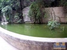 南坪商圈旁 三房双卫 单价喜人 近轻轨