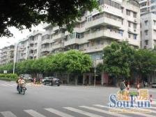 【中区光明路小区】| 广州市增城区新塘镇沙埔光明路33号1幢508房