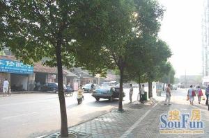 双地铁口旁,粮油市场旁,育新,电梯房