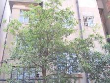 临赣江,一线江景,有小区有门卫,户型通透