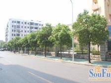 三经路9号农资公司宿舍 南北通透,采光好 视野好,诚心出售