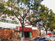 中间楼层,南北两房,户型优质,价格美丽。