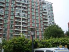 衡山路难得出来一套气派横厅双阳台视野好