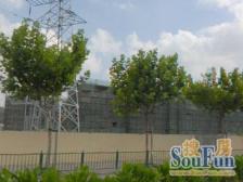 高科西路2847弄 3室1厅 南