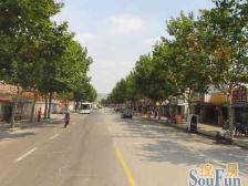 李园一村 1室0厅 南