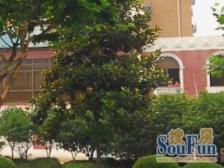 和景商务楼 1室0厅 东北