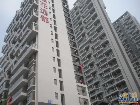莲花逸都实景图