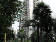 洋房看江顶跃,带阁楼,视野开阔,业主诚售