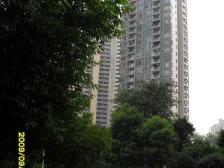 融侨半岛风临洲B区 3室2厅 东 南 北