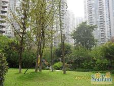 样板小区端户洋房,通透户型,树景房,私密性好