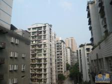 电梯房 少有的清水顶跃户型 带屋顶花园